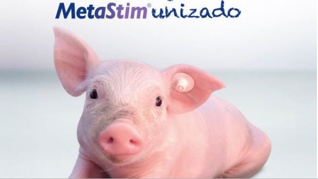Accede al vídeo