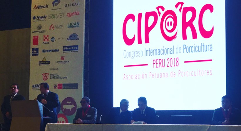 ciporc2018 11