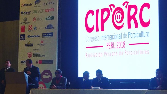 ciporc2018 11