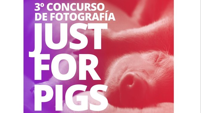 Magapor concurso de fotografía