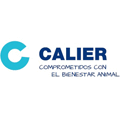 Calier