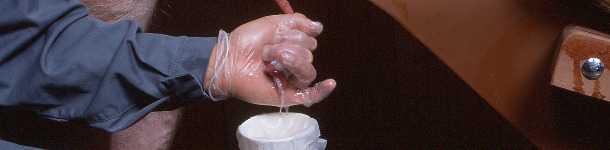 Recogid de semen porcino para IA