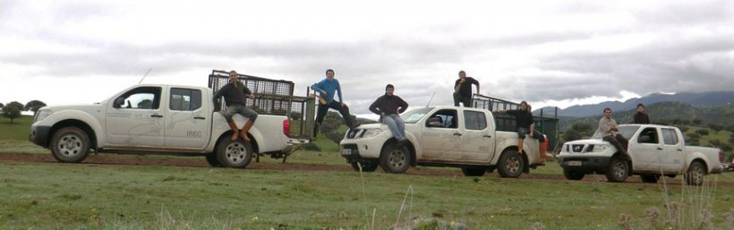 Foto 2. El trampeo mediante cajas o corrales-trampa es una opci&oacute;n para actuar sobre el jabal&iacute; en zonas no cazables, pero resulta cara y no siempre eficaz.
