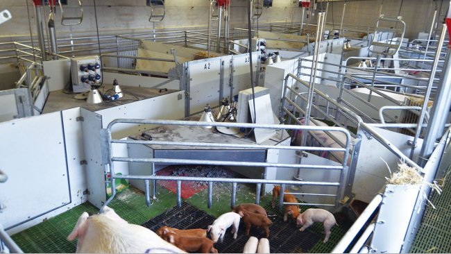 Imagen de la sala en que se están realizado las pruebas con plazas de maternidad libres. Foto: RotecnaPress.
