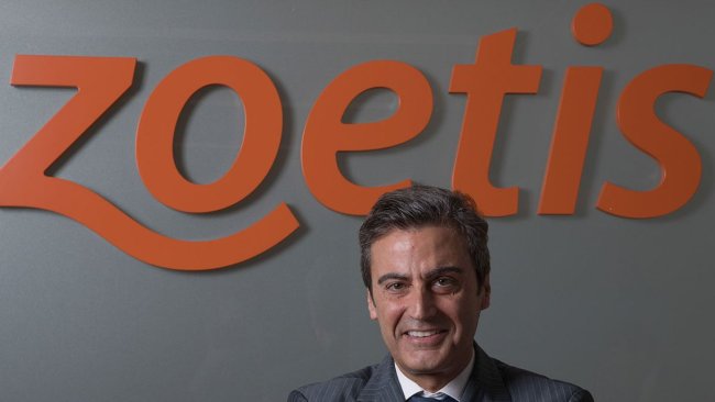 Félix Hernáez, director general y vicepresidente de Zoetis Europa del Sur.
