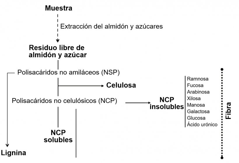 Figura 1. Determinaci&oacute;n de polisac&aacute;ridos no amil&aacute;ceos, lignina y fibra mediante un procedimiento enzim&aacute;tico-qu&iacute;mico. Knudsen (2014)
