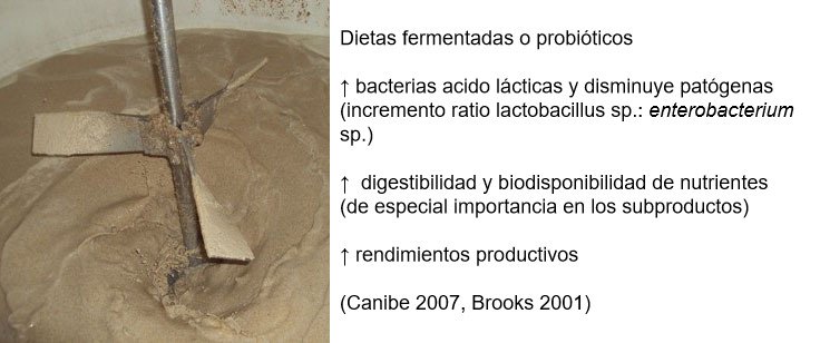 Figura 3: Tambi&eacute;n puede ser interesante fomentar la fermentaci&oacute;n mediante al utilizaci&oacute;n de dietas prefermentadas o probi&oacute;ticos. Se les atribuyen muchos beneficios como un amuento de la microbiota favorable (mejora ratio lactobacilus:enterobacterias), mejoras digestivas y finalmente mejoras en el rendimiento productivo del animal.
