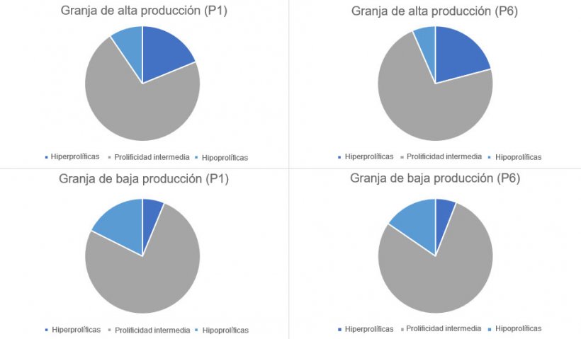Gráfico 1. Distribución del tipo de cerdas, en parto 1 y 6, categorizados por los tipos de granjas planteados.