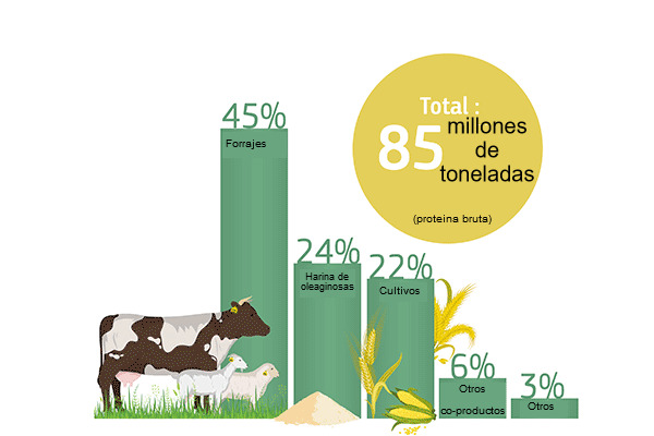 EU plant protein supply: share of protein sources