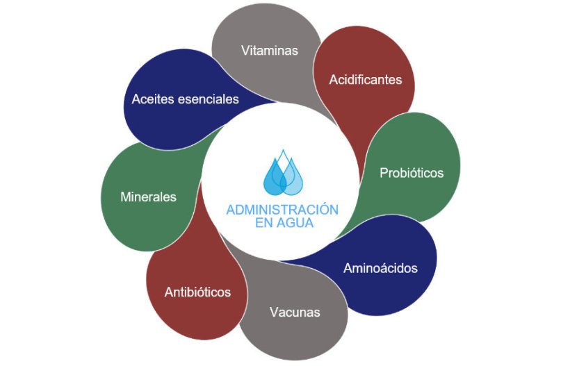 Figura1: Posibles opciones en el agua de bebida.
