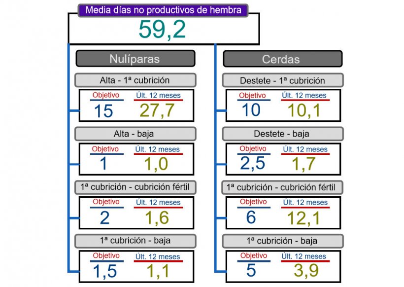 Figura 2. An&aacute;lisis de d&iacute;as no productivos.
