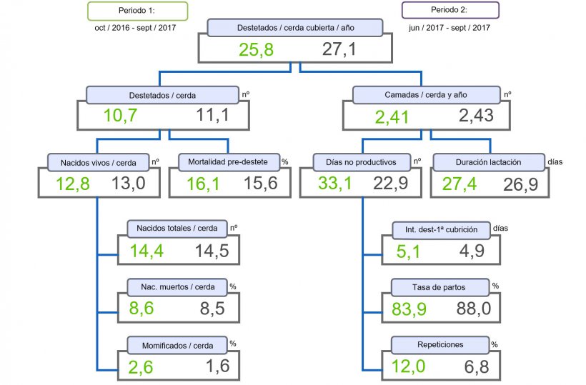 Figura 1. &Aacute;rbol de productividad de lechones destetados/cerda cubierta y a&ntilde;o, comparativo de dos periodos.
