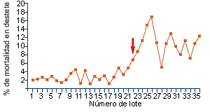 representación gráfica caso de circovirosis