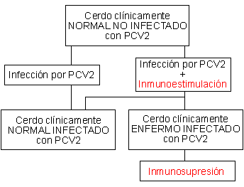 Inmunoestimulación frente a inmunosupresión