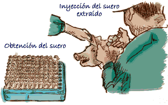 inyección suero extraído