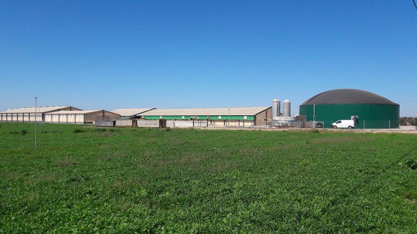 Figura 2: Granja de cerdos en la comarca del Segri&aacute; (Lleida, Espa&ntilde;a), con producci&oacute;n de biog&aacute;s para autoconsumo de energ&iacute;a t&eacute;rmica y el&eacute;ctrica.
