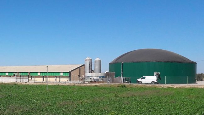 Figura 2: Granja de cerdos en la comarca del Segriá (Lleida, España), con producción de biogás para autoconsumo de energía térmica y eléctrica.
