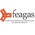 Feagas