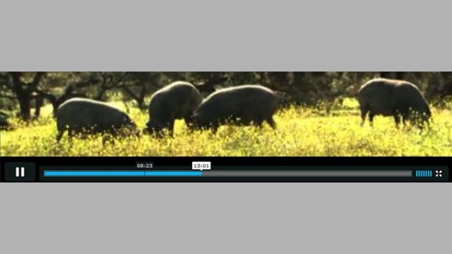 AECERIBER - Sólo ibérico