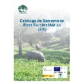 catalogo.jpg