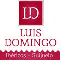 Luis Domingo