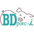 Porc d'Or Ibérico 1