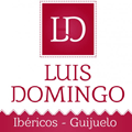 Luis Domingo