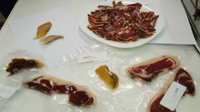 Diferentes muestras de jamón listas para ser analizadas.