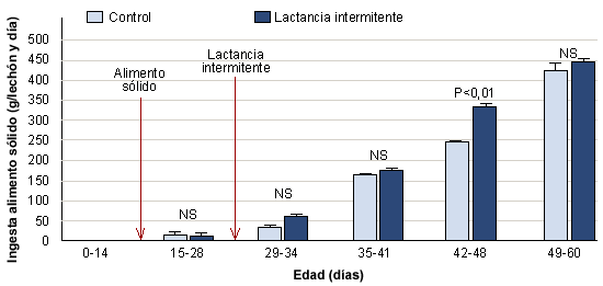 jam&oacute;n