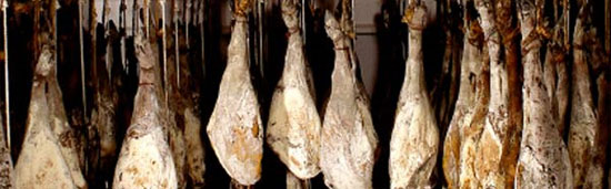 jam&oacute;n