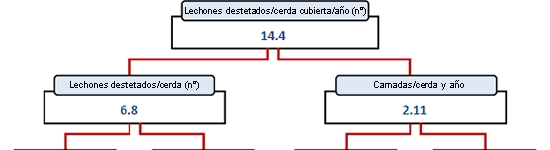 Cerdo ib&eacute;rico de la estirpe&nbsp; Guadyerbas