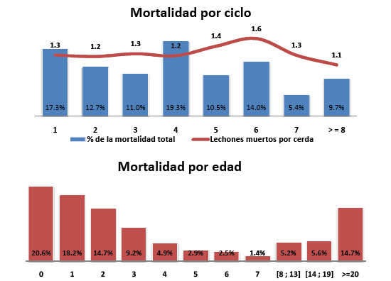 Cerdo ib&eacute;rico de la estirpe&nbsp; Guadyerbas