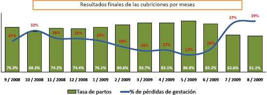 Cerdo ib&eacute;rico de la estirpe&nbsp; Guadyerbas