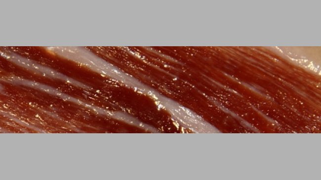 Caracterización de la fracción volátil de jamones curados de cerdo ibérico