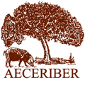 AECERIBER