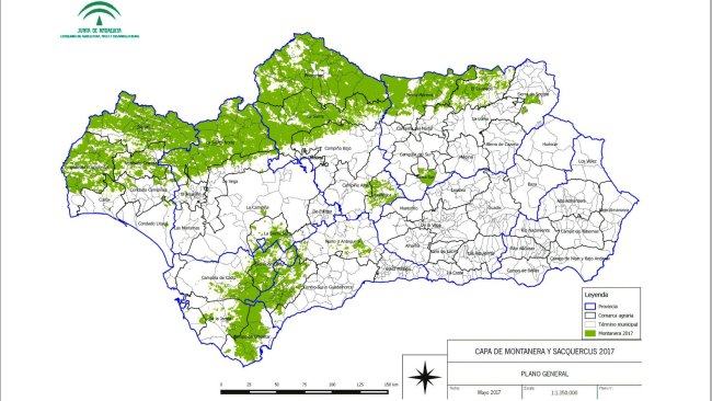 Superficie apta para montanera en 2017