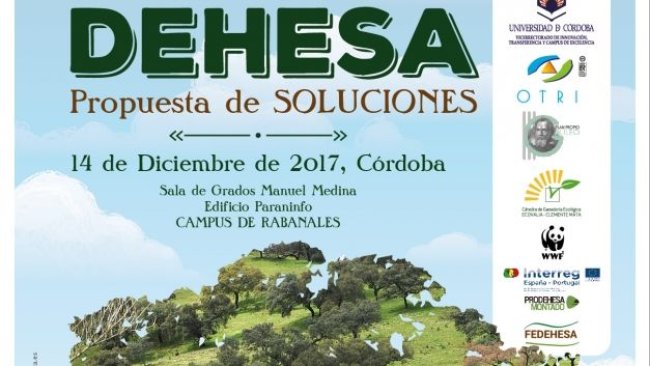 Problemática de la dehesa. Propuesta de soluciones