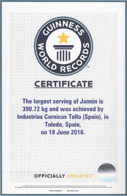 Certificado Guinness World Records