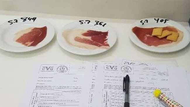 Cata de jamón realizada por los científicos de la UGR.