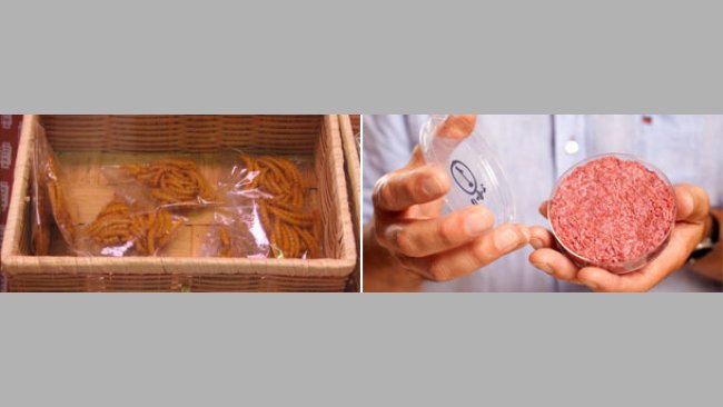 Alternativas proteicas