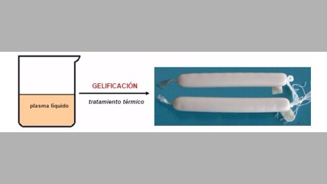 Geles de plasma de cerdo inducidos por calor