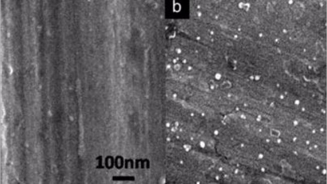 Figura 2. Imagen de las superficies en SEM (Scanning Electron Microscopy). (A) Hoja de acero inoxidable en blanco. (B) Hoja de acero inoxidable-AgNPS (nanopart&iacute;culas de plata) (Limei Chen et al, 2010)
