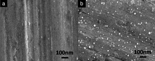 Figura 2. Imagen de las superficies en SEM (Scanning Electron Microscopy). (A) Hoja de acero inoxidable en blanco. (B) Hoja de acero inoxidable-AgNPS (nanopart&iacute;culas de plata) (Limei Chen et al, 2010)
