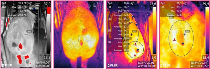 Figura 3: Imagen termográfica tomada mediante un dispositivo FLIR conectado a un Smartphone. Fuente: Ramis el al. 2017