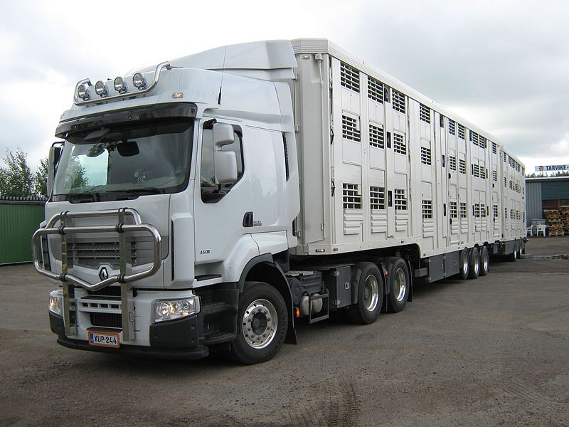 transporte animales covid-19