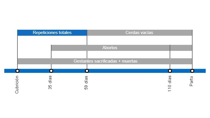 Tipos de p&eacute;rdidas de gestaci&oacute;n que repercuten en una menor tasa de partos y periodo en el que se producen despu&eacute;s de la cubrici&oacute;n.
