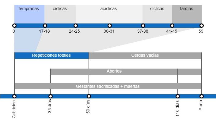Tipos de p&eacute;rdidas de gestaci&oacute;n que repercuten en una menor tasa de partos, con el detalle de los distintos tipos de repeticiones seg&uacute;n en el momento en que se producen.
