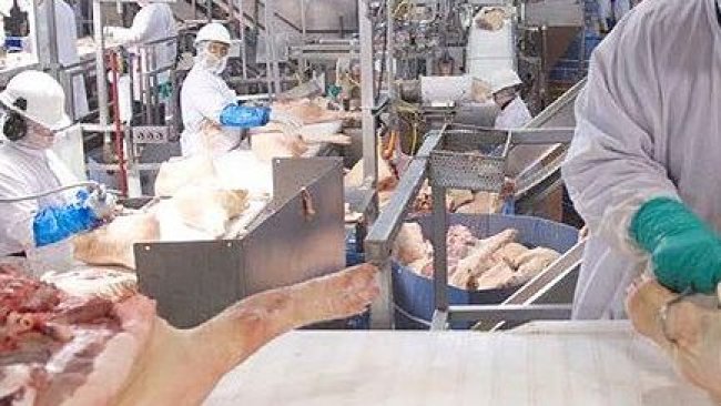 planta procesadora carne