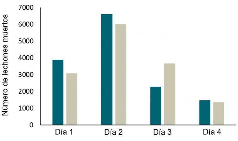 Figura 2. Registros (2 a&ntilde;os) de mortalidad de lechones en 2 granjas con corrales SWAP. La mayor&iacute;a de las bajas se produjeron&nbsp;durante los primeros 4 d&iacute;as y, especialmente, durante las primeras 24 h de vida.
