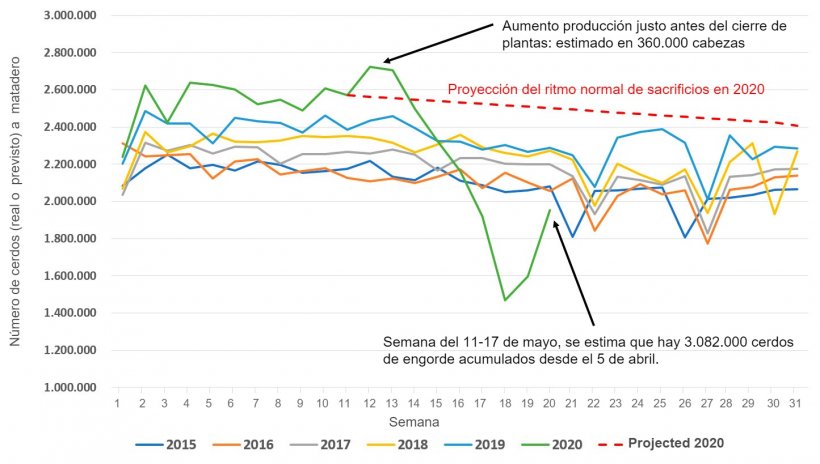 Figura 1. N&uacute;mero de cerdos sacrificados en matadero en EEUU por semana, de enero a julio de 2015 a 2020 o previsi&oacute;n de sacrificio en circunstancias normales (l&iacute;nea roja punteada). Fuente de los datos:&nbsp;Encuesta de sacrificio NASS del USDA y AMS LM_HG201
